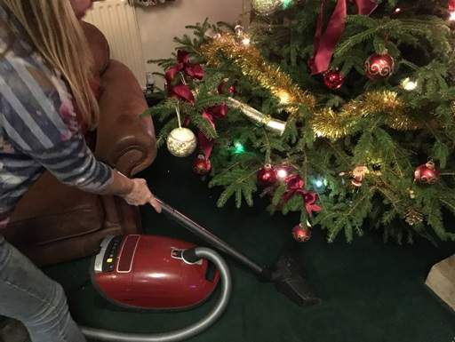 Vacuum cleaner cleaning up tree needles